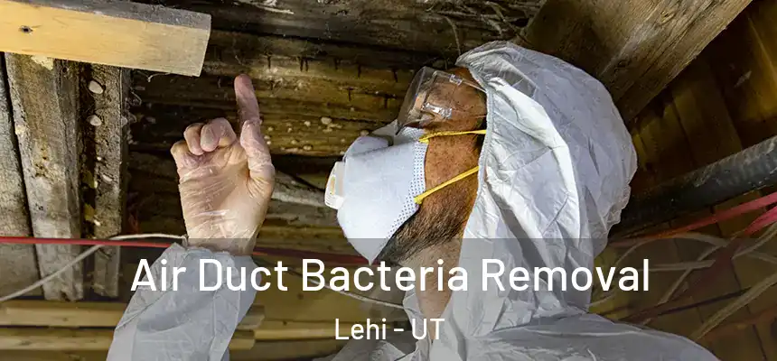 Air Duct Bacteria Removal Lehi - UT