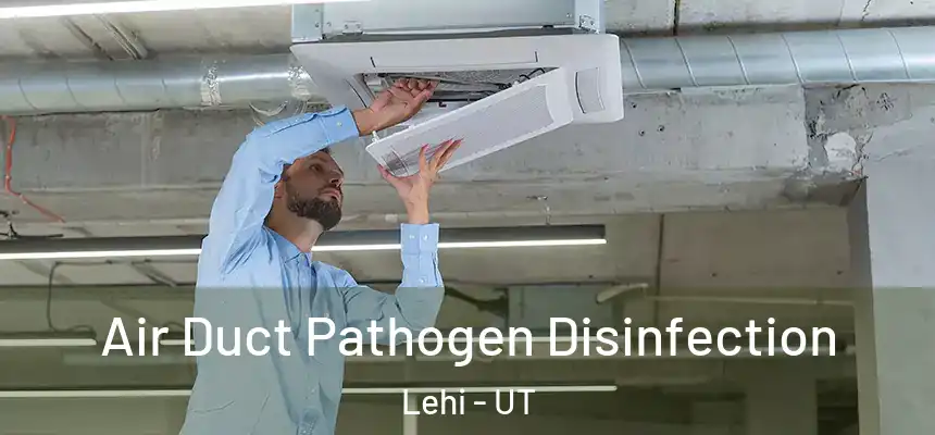 Air Duct Pathogen Disinfection Lehi - UT