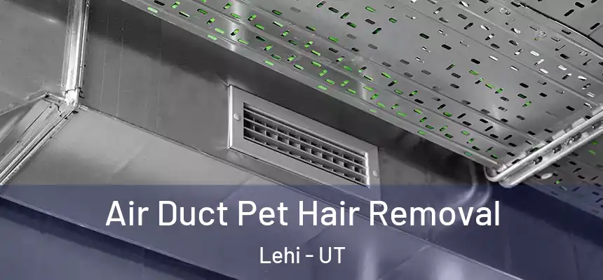 Air Duct Pet Hair Removal Lehi - UT