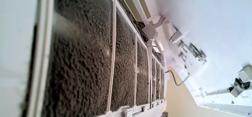 Preventive Air Duct Bacteria Removal in Lehi