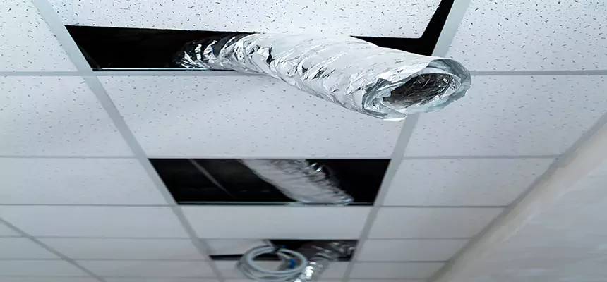 Affordable HVAC Sanitizing After Pest Removal in Lehi