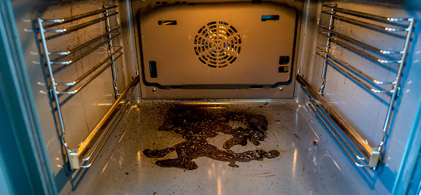 Our Dryer Vent Mold Cleaning Services in Lehi, UT