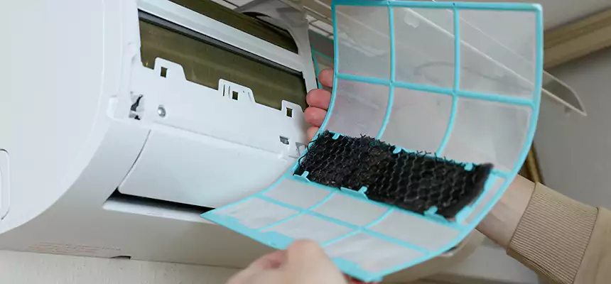 Gentle Ductwork Odor-Control Pet Dander Duct Cleaning in Lehi, UT