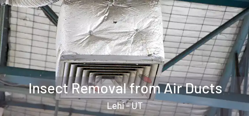 Insect Removal from Air Ducts Lehi - UT