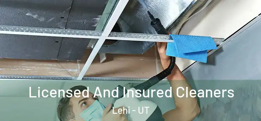 Licensed And Insured Cleaners Lehi - UT