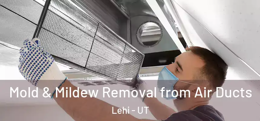 Mold & Mildew Removal from Air Ducts Lehi - UT