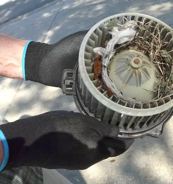 About Air Duct Mice Removal in Lehi, UT