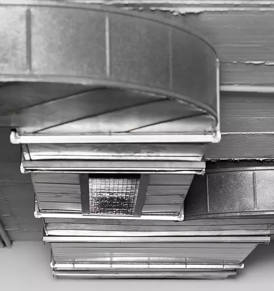 Professional Air Duct Pet Hair Removal in Lehi, UT