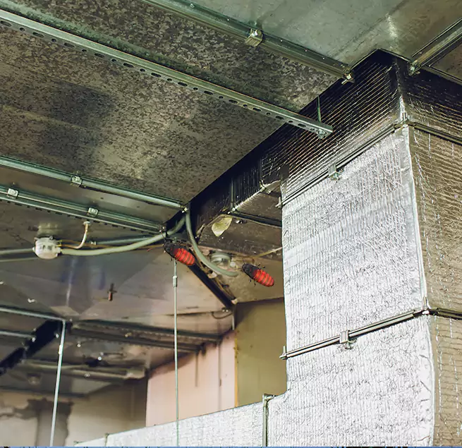 Why Homeowners & Businesses Trust Us in Lehi, UT?