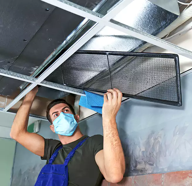 Why Homeowners Businesses Trust Us in Lehi, UT