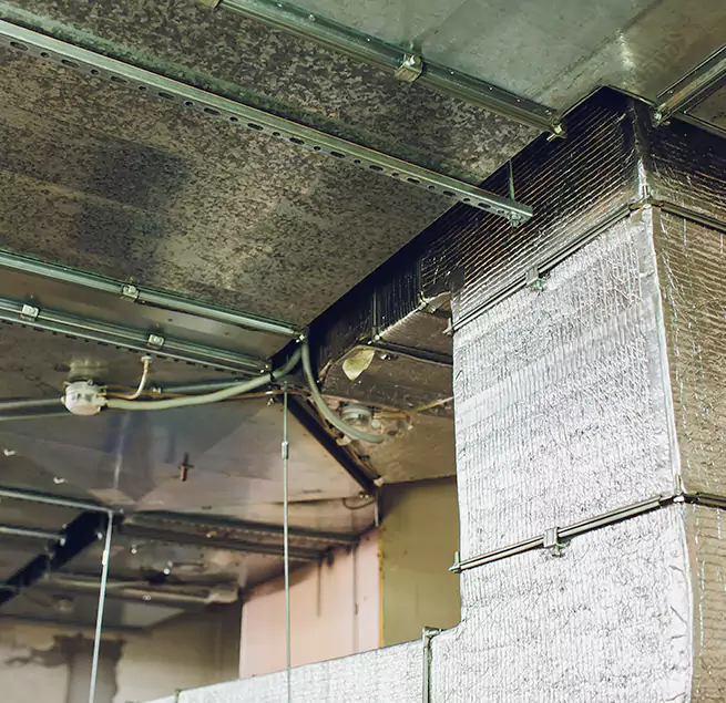 Why Homeowners & Businesses Trust Us in Lehi, UT?